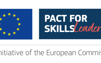 Graditev sinergij med Pact for Skills in EAfA