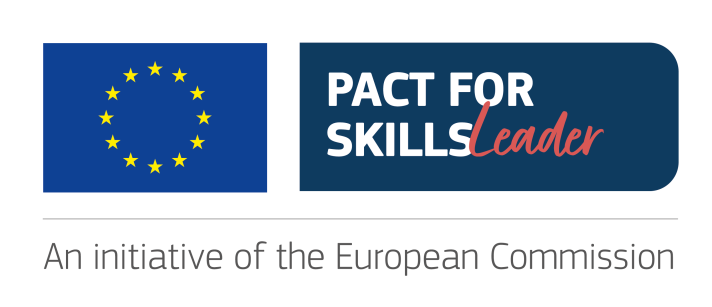 Graditev sinergij med Pact for Skills in EAfA